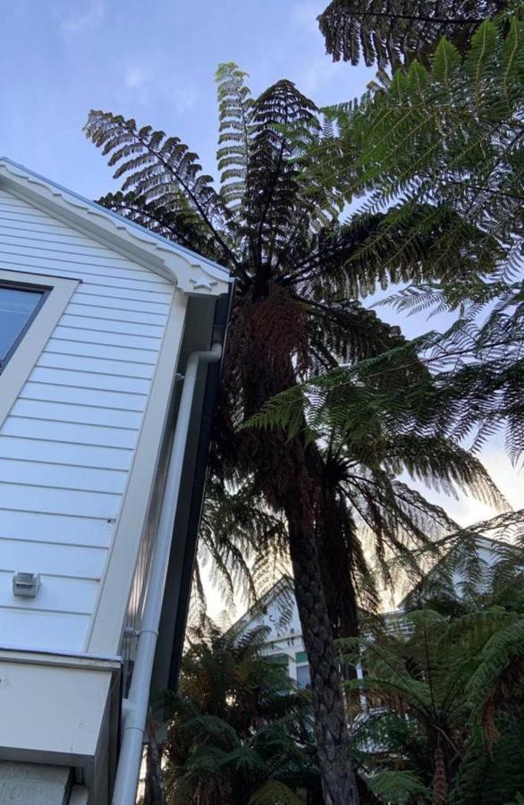 Hotel Tiny House In The Sky Dunedin Esterno foto